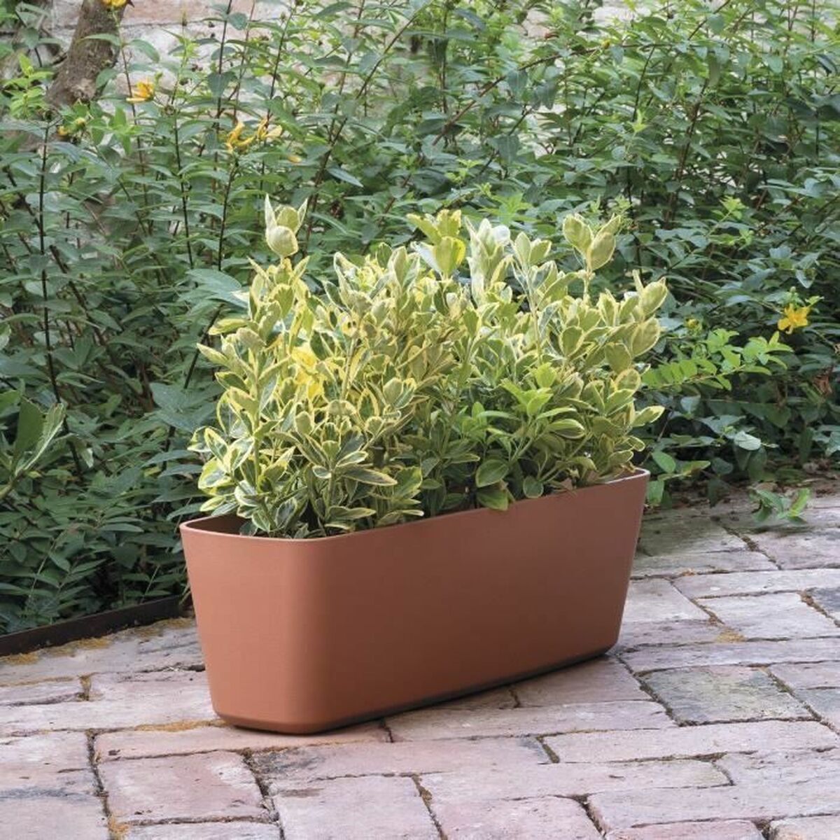 Plant pot Deroma-5