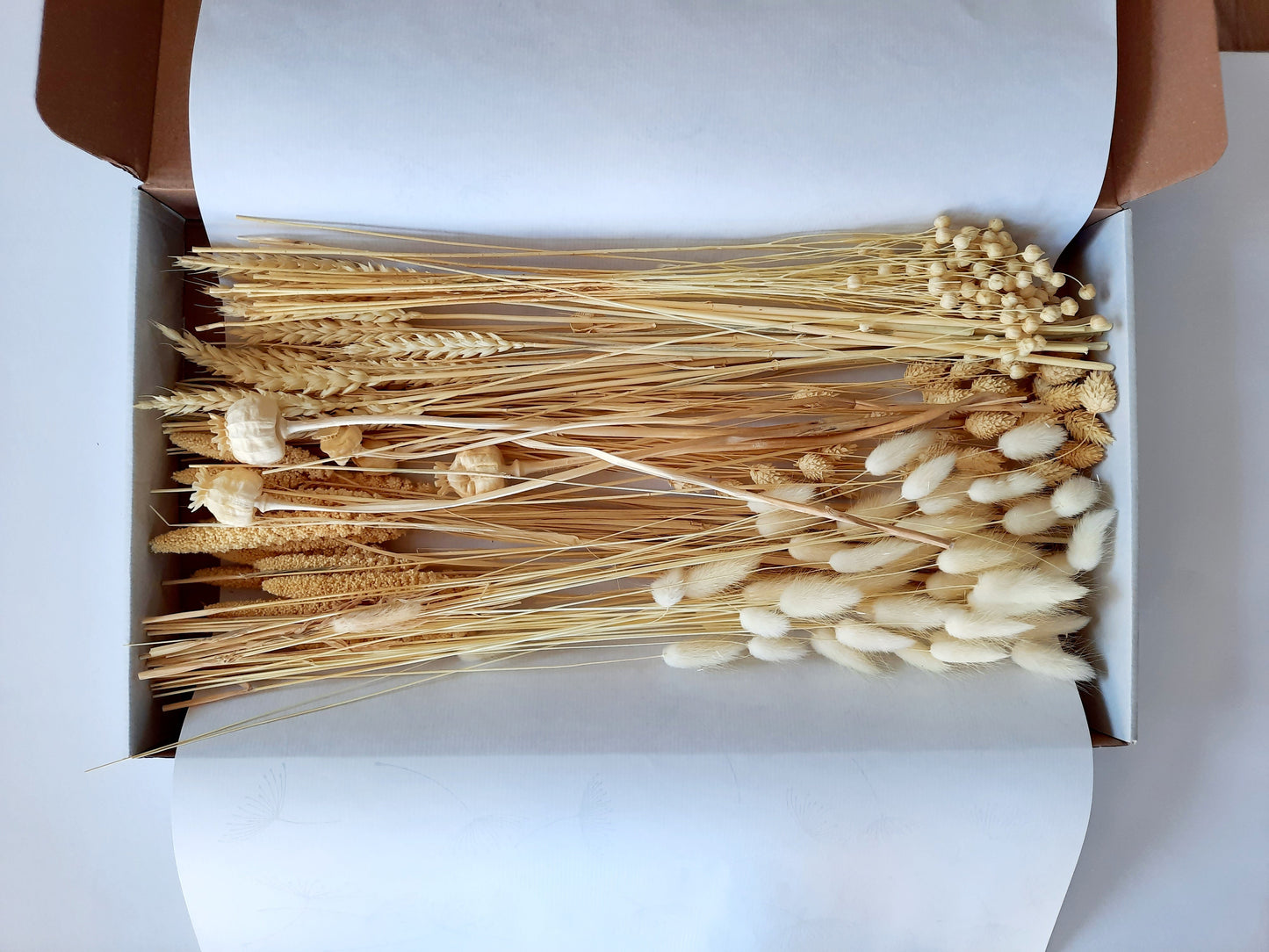 DIY dried flower box - white-2