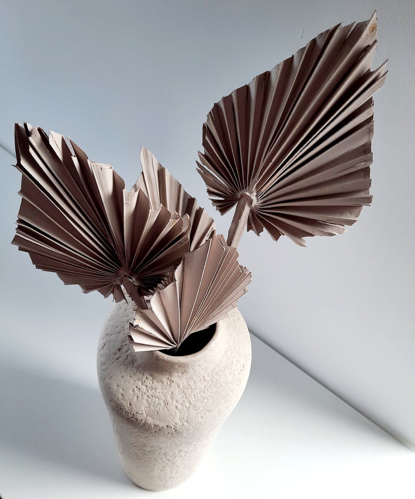 Dried palm leaves - gray-0