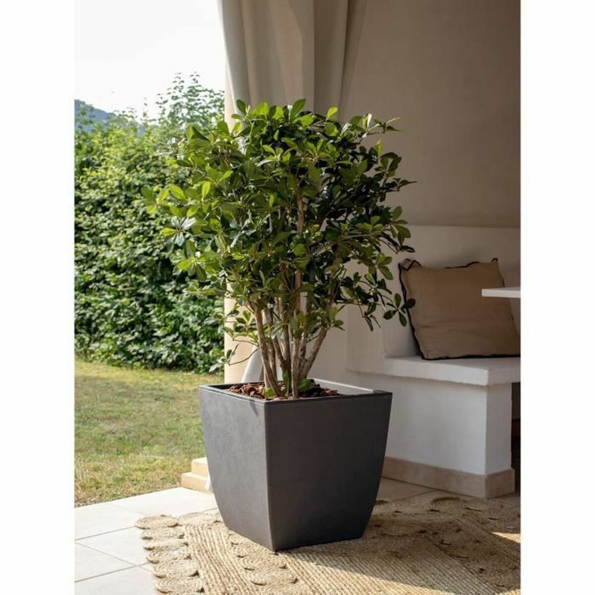 Plant pot EDA-1