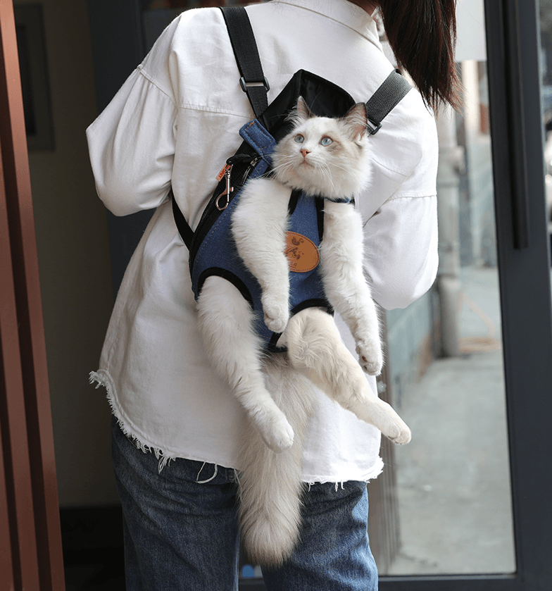 Spring Adventure Cat Carrier: Explore The Outdoors With Your Feline Friend-1