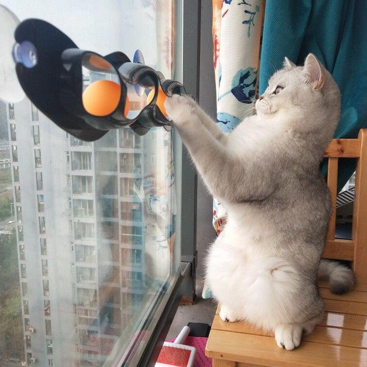 Windowsill Cat Track Toy-1