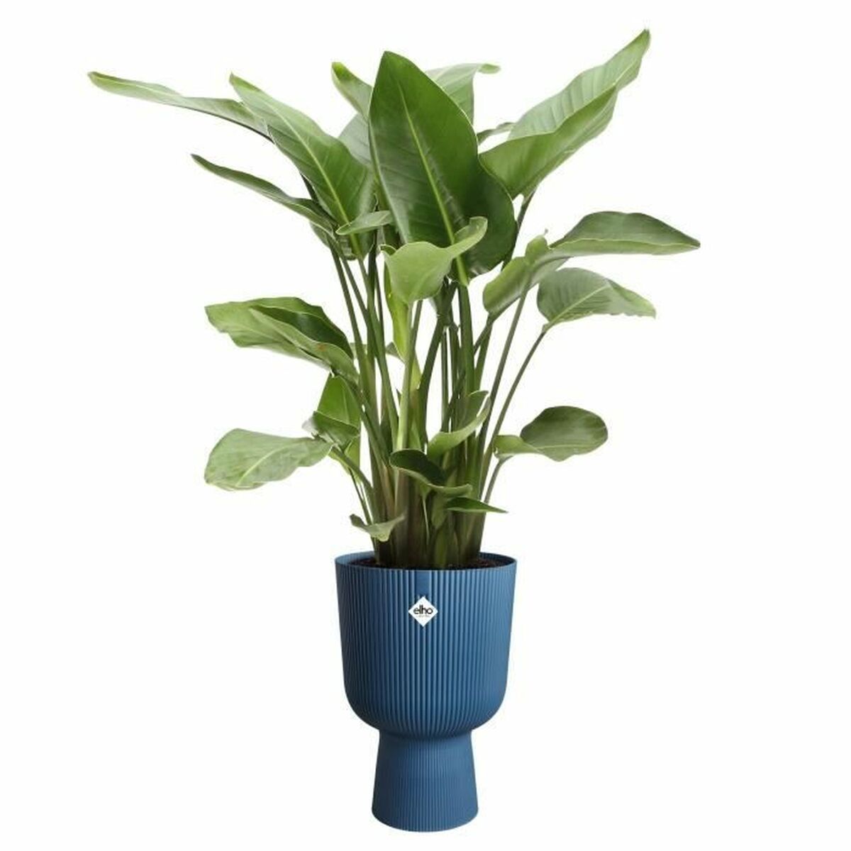 Plant pot Elho-2