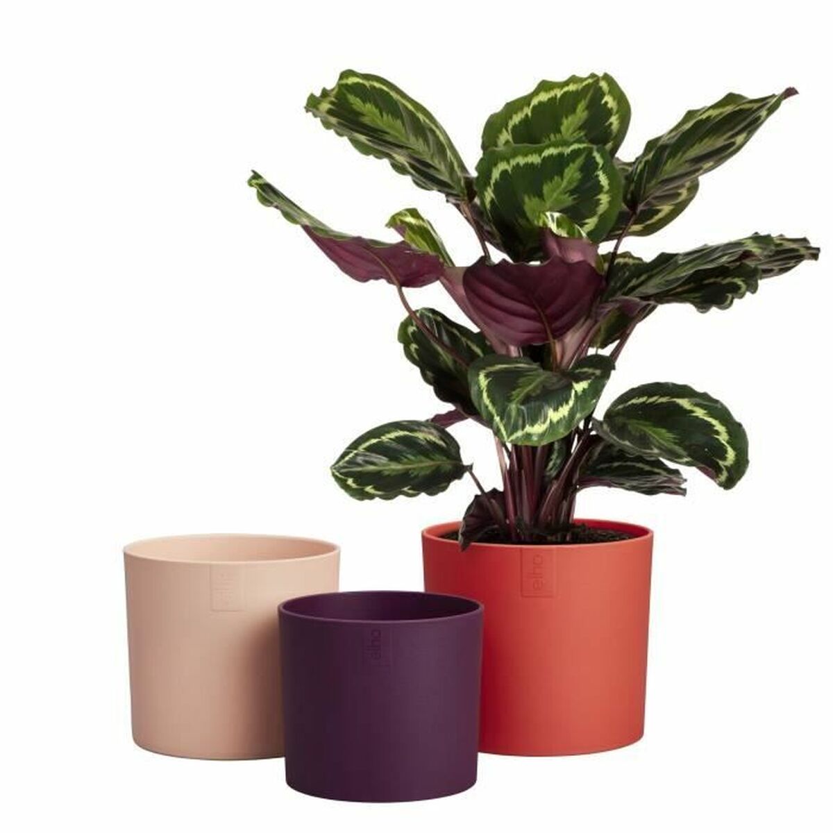 Plant pot Elho-2