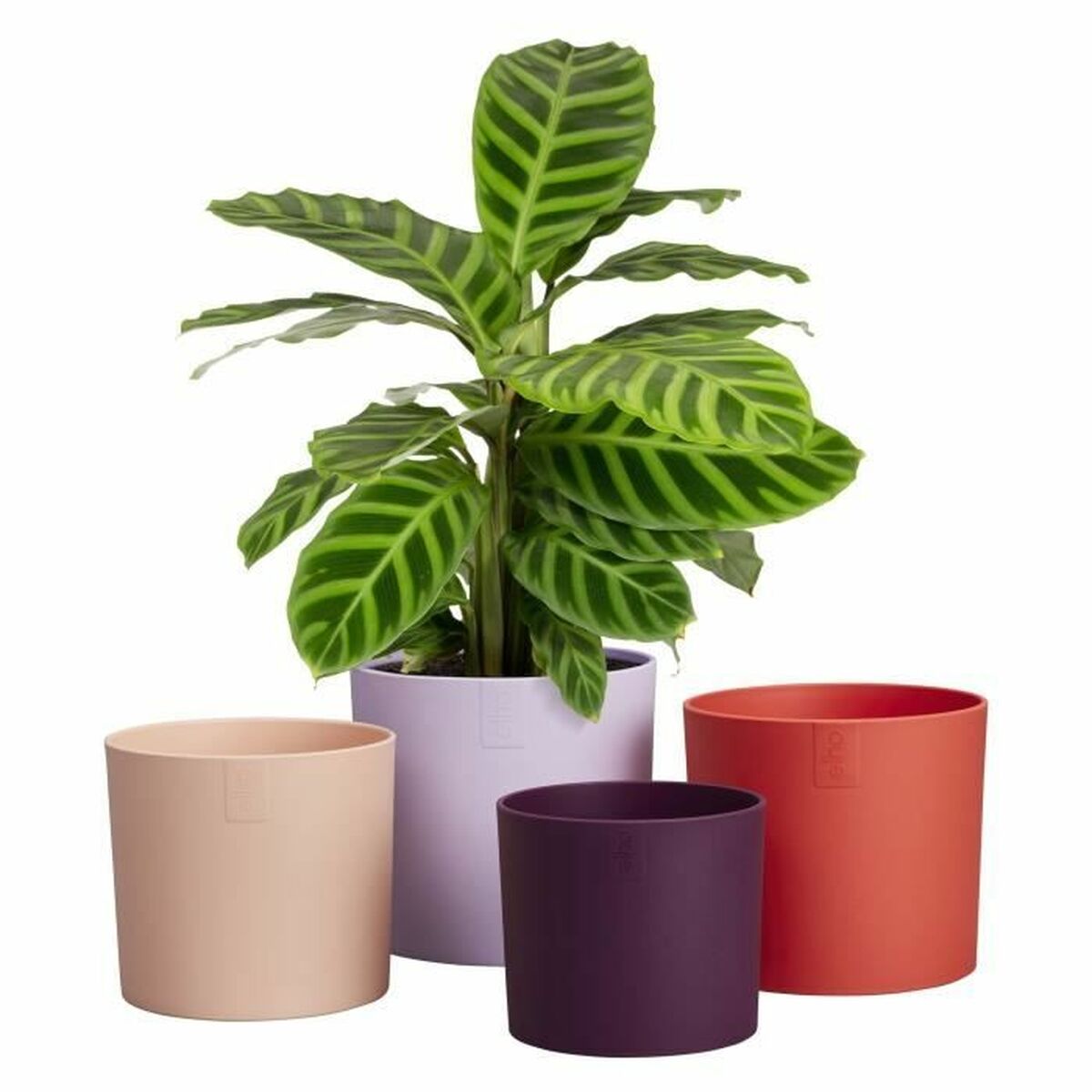 Plant pot Elho-2