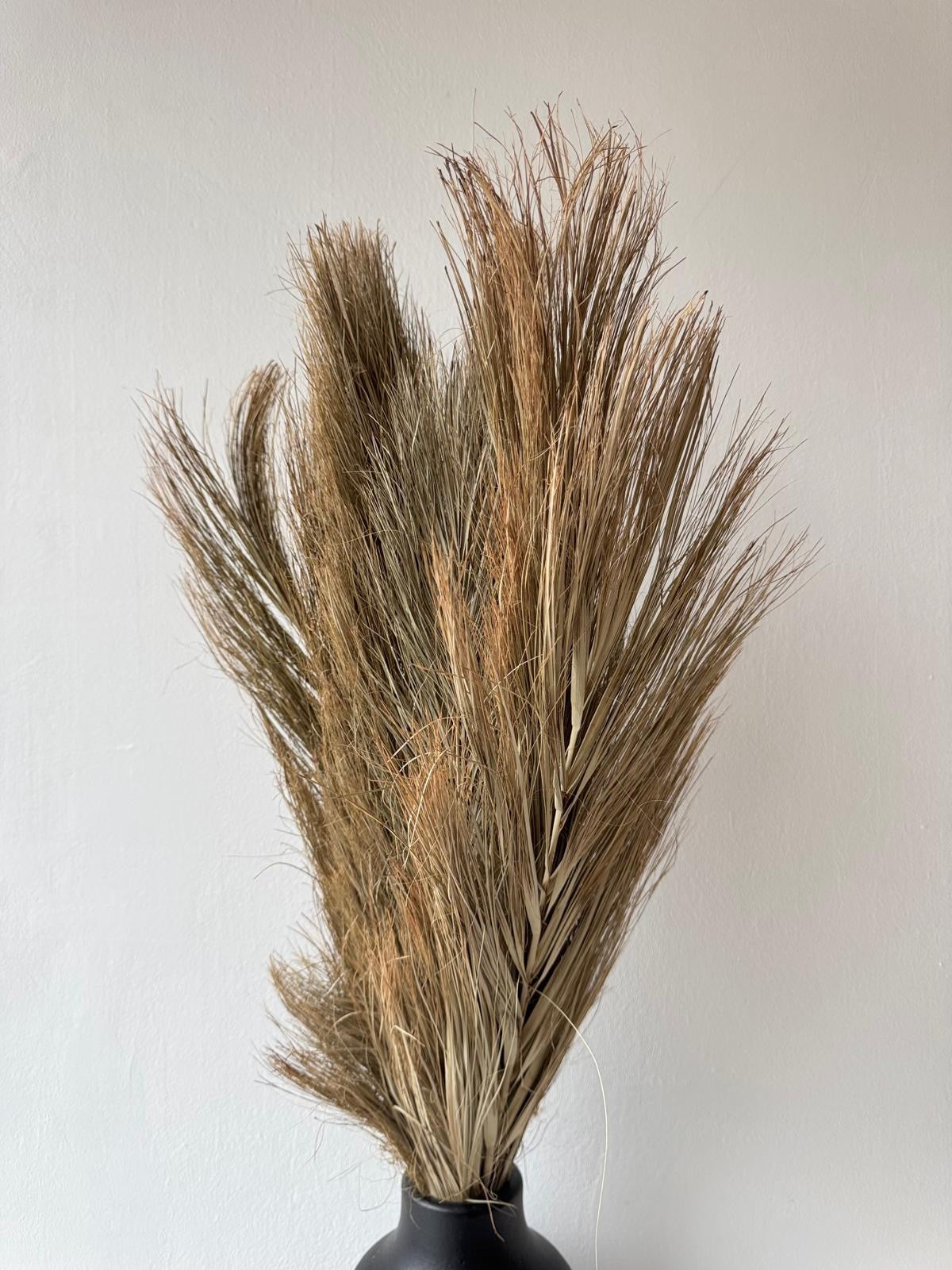 Dried palm leaves-2