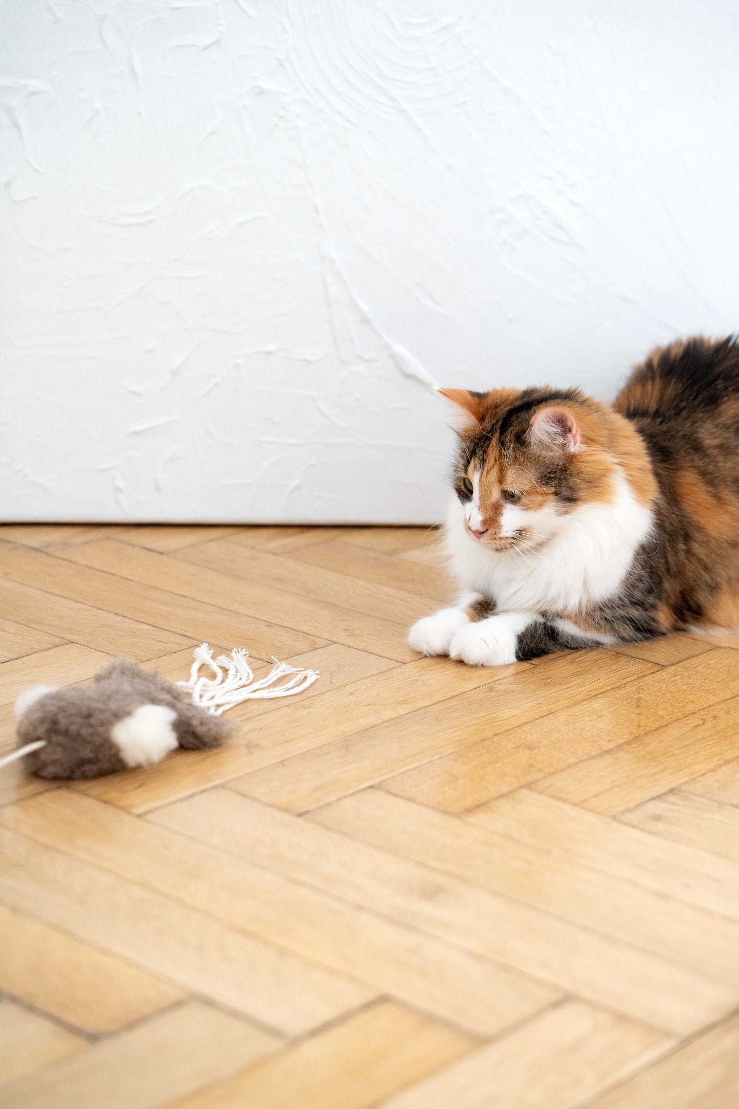 Natural Sheepskin Cat Toy: Squid-3