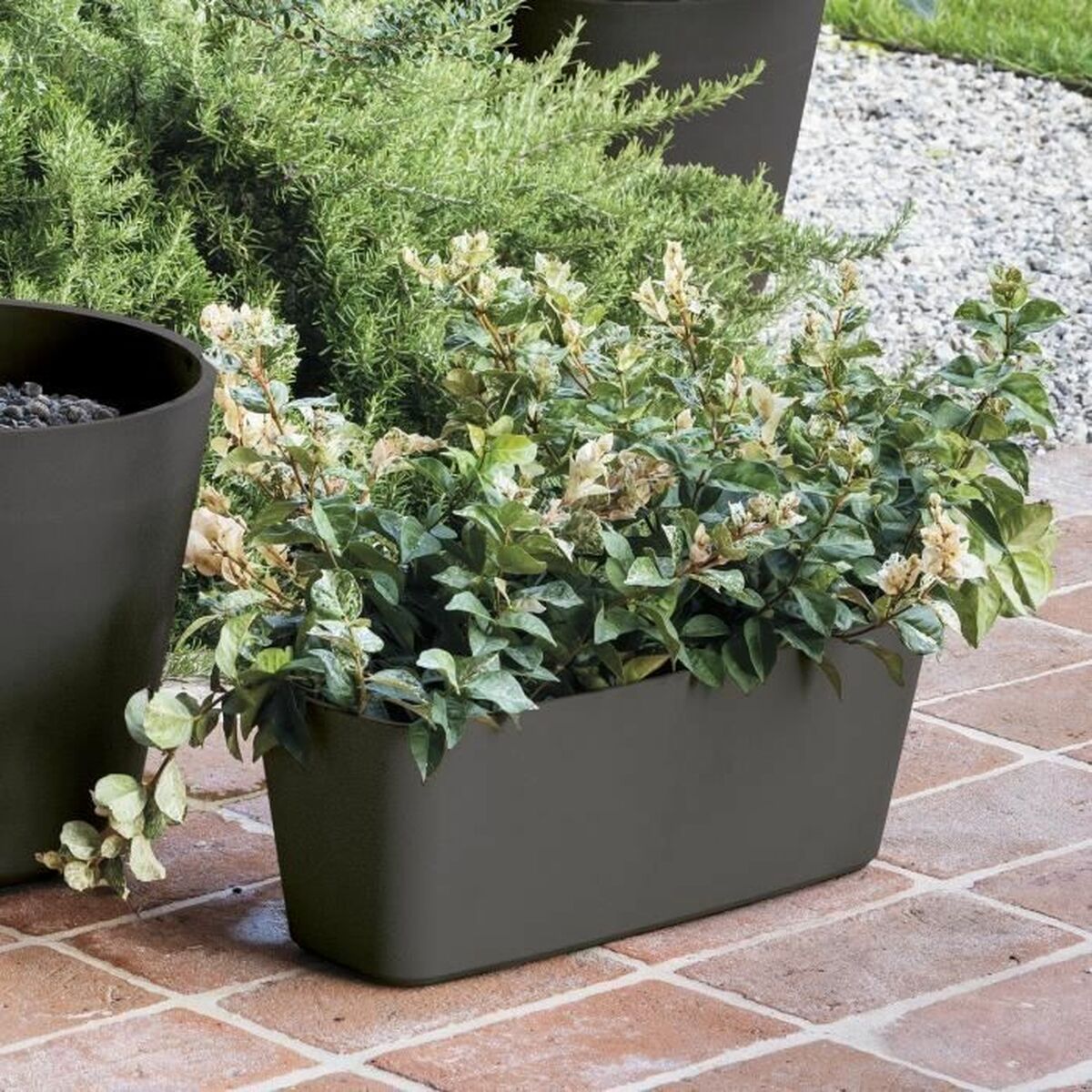 Plant pot Deroma-5