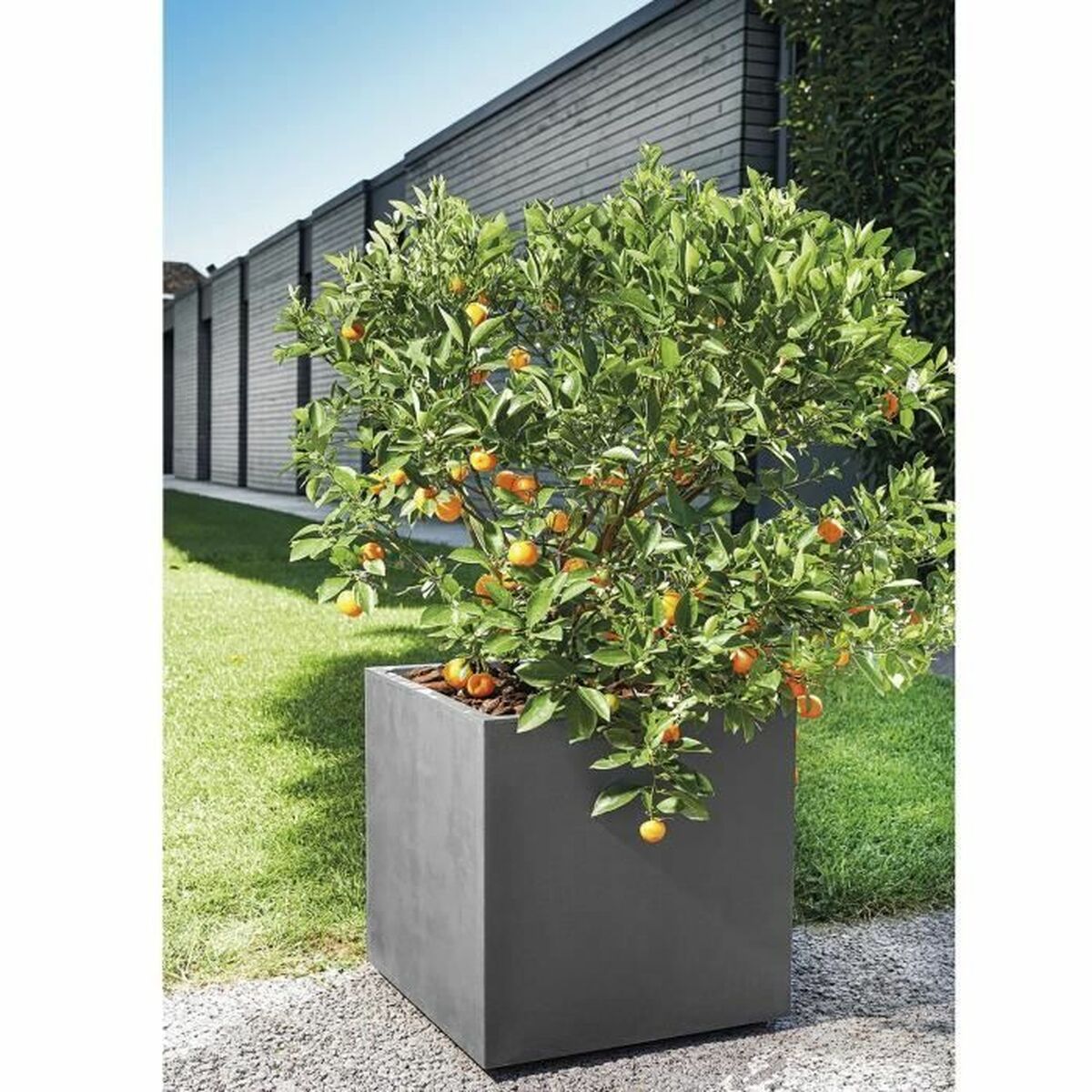 Plant pot Deroma-2