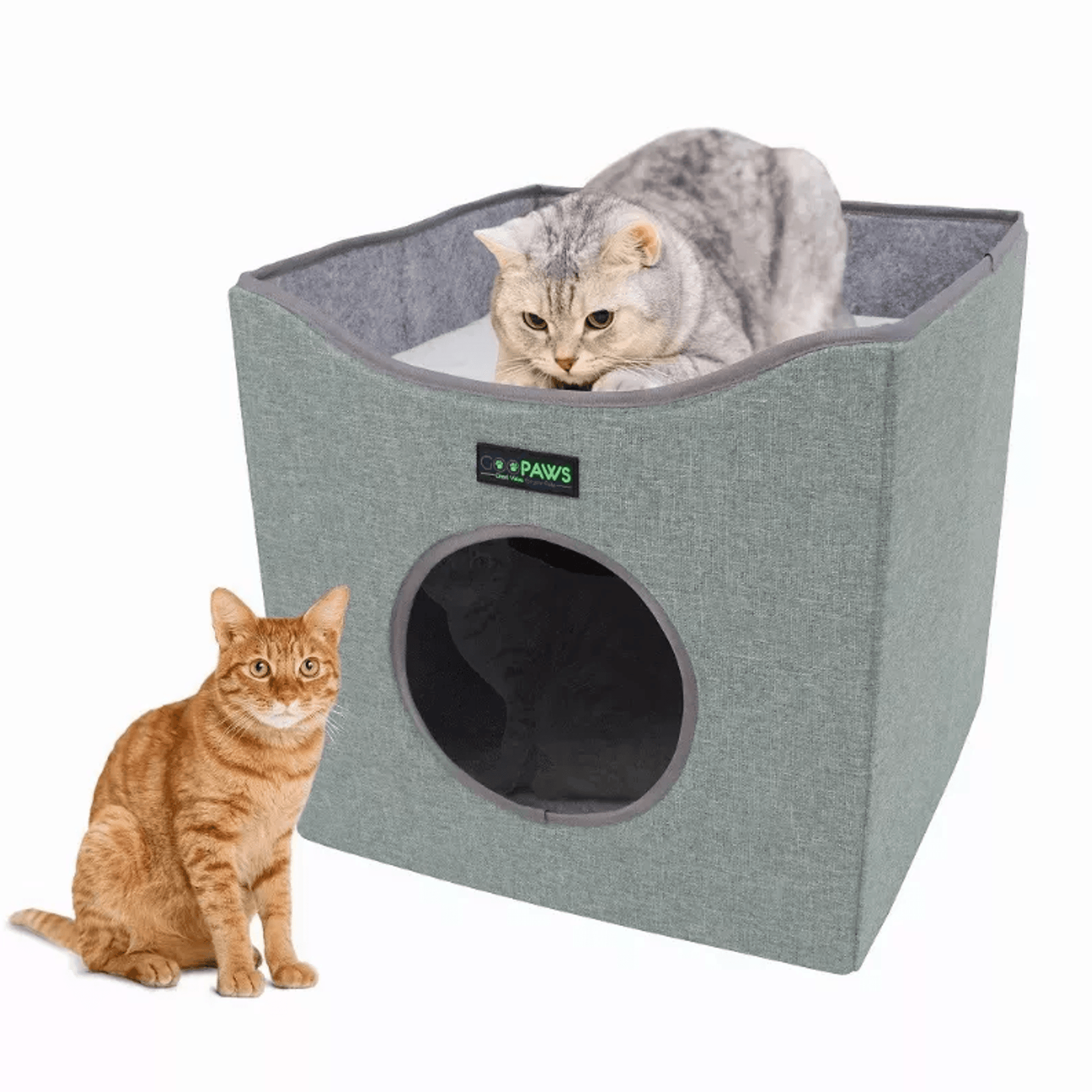 Foldable Cat Condo -5