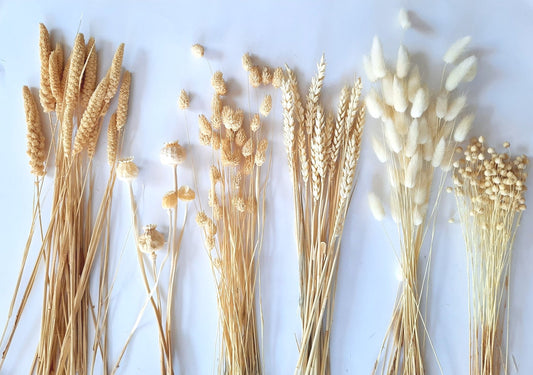 DIY dried flower box - white-0