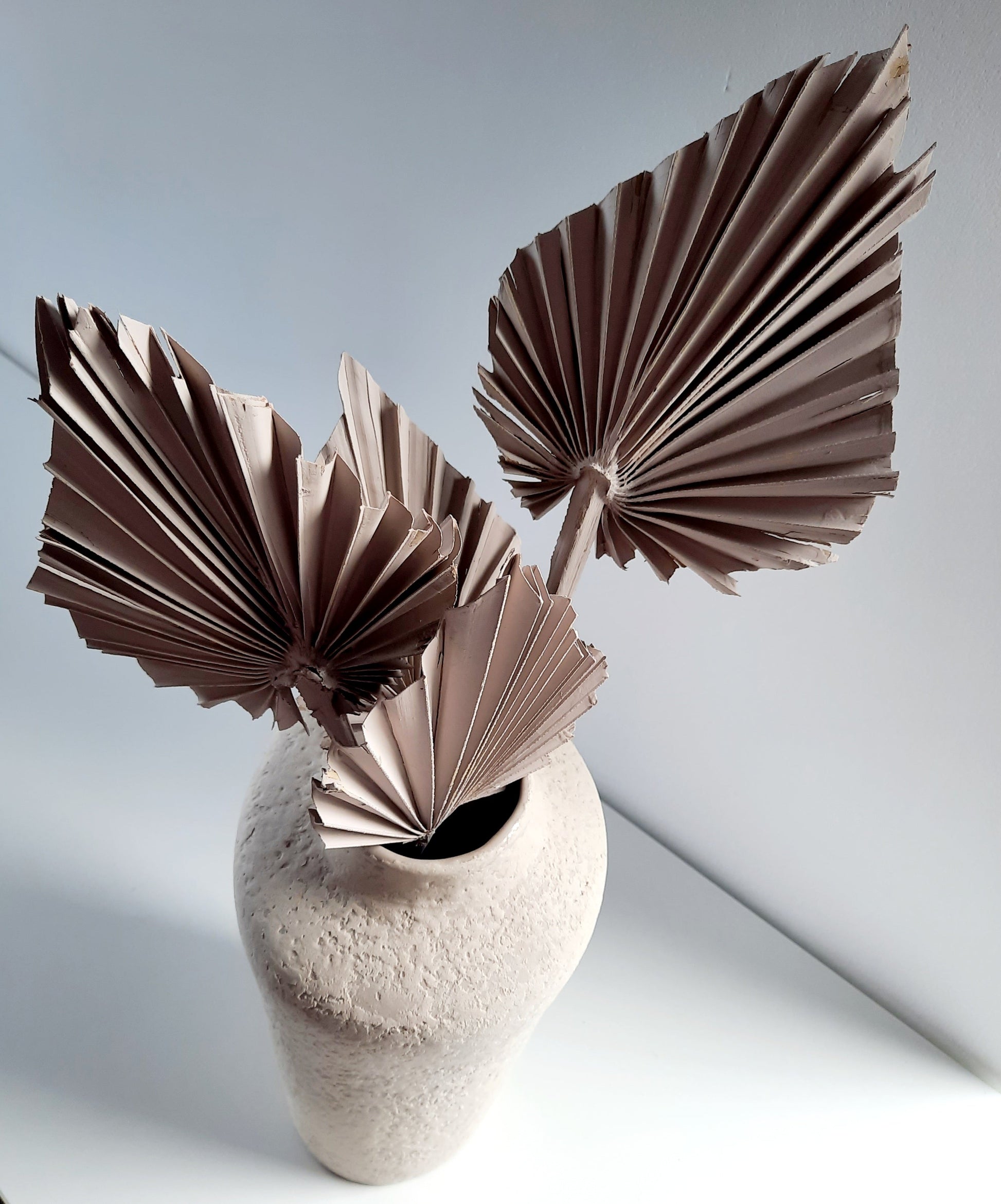 Dried palm leaves - gray-0