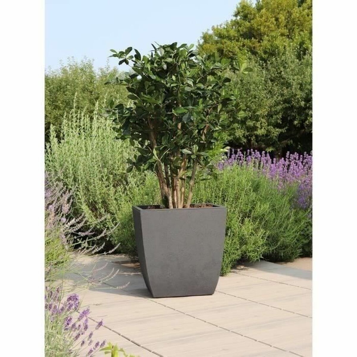 Plant pot EDA-4