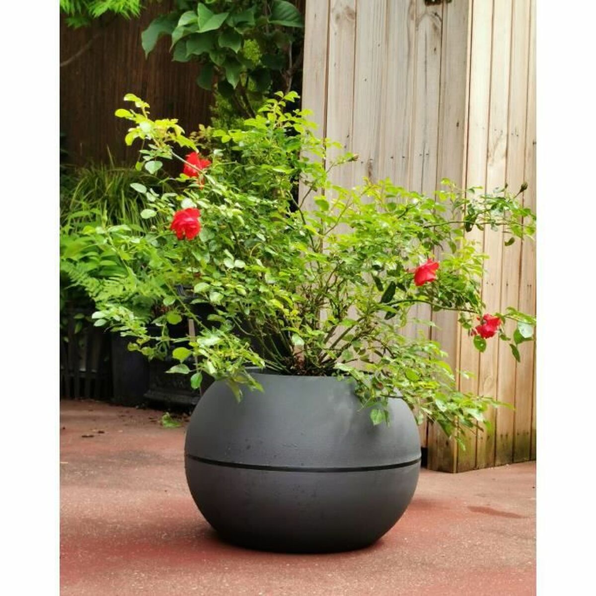 Plant pot Riviera Grey Circular Ball Ø 40 cm-2
