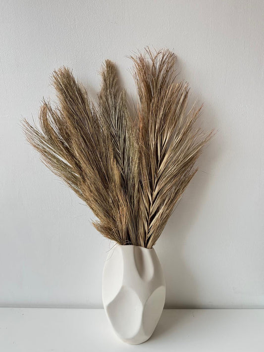 Dried palm leaves-0