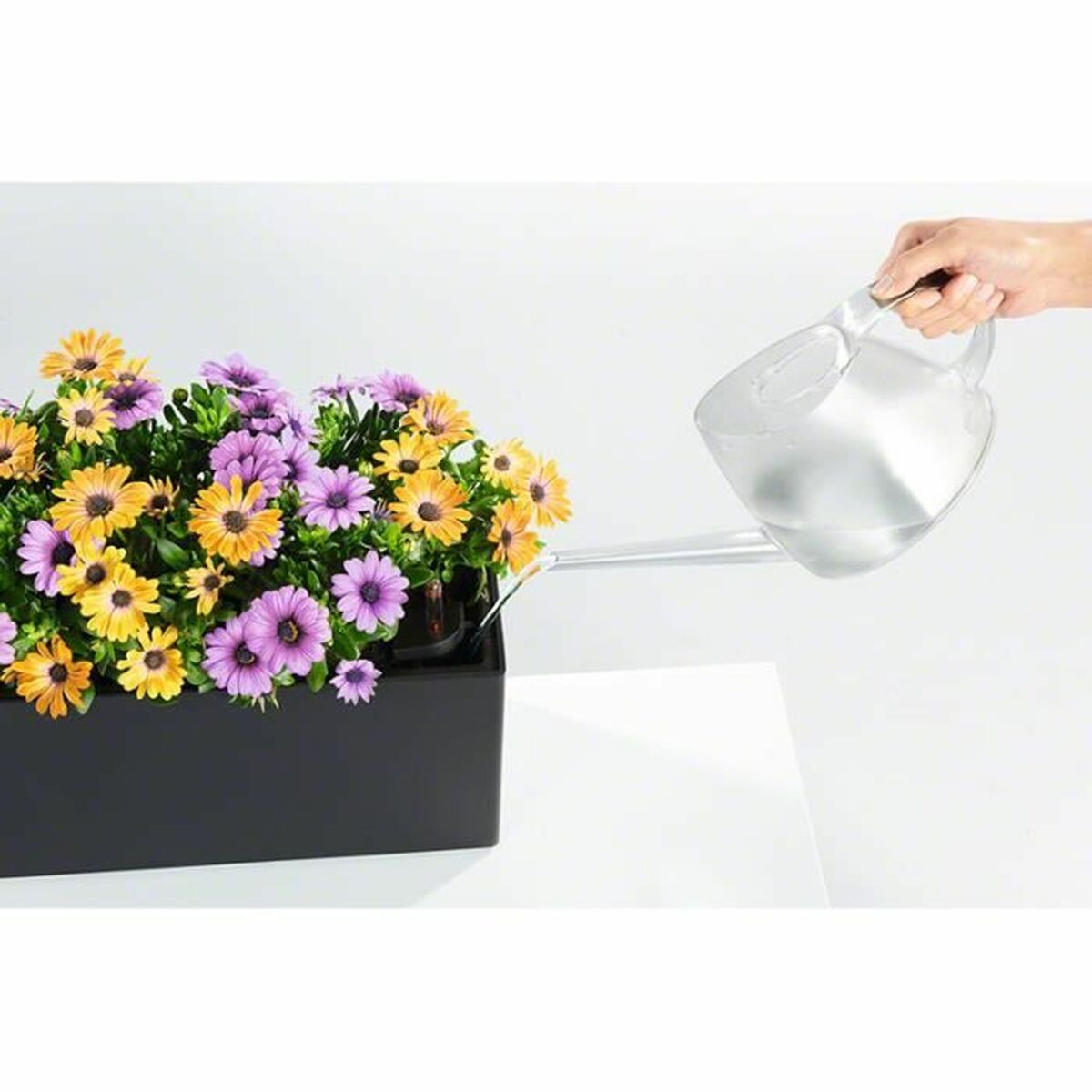 Plant pot Lechuza Brown Black polypropylene-2