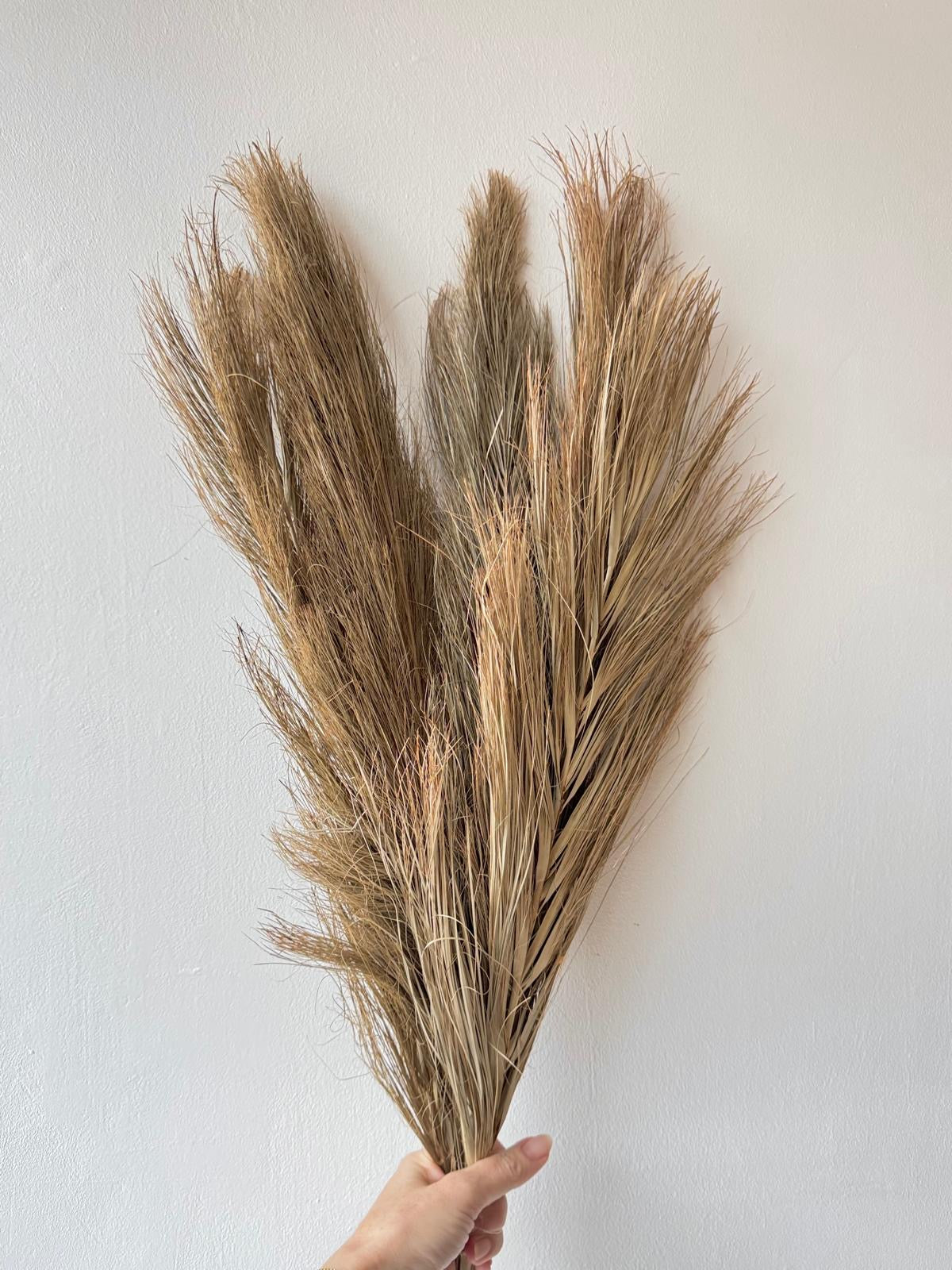 Dried palm leaves-1