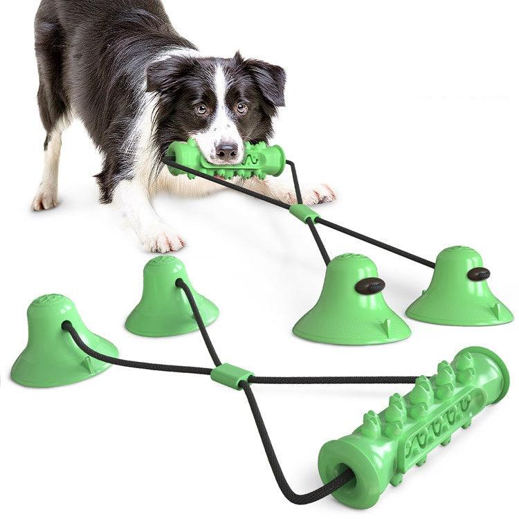 Molar Toy For Clean Teeth And Training-7