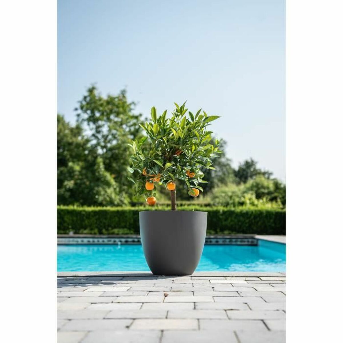 Planter Garden ID Phoenix Anthracite Anthracite 48 x 42 cm-1