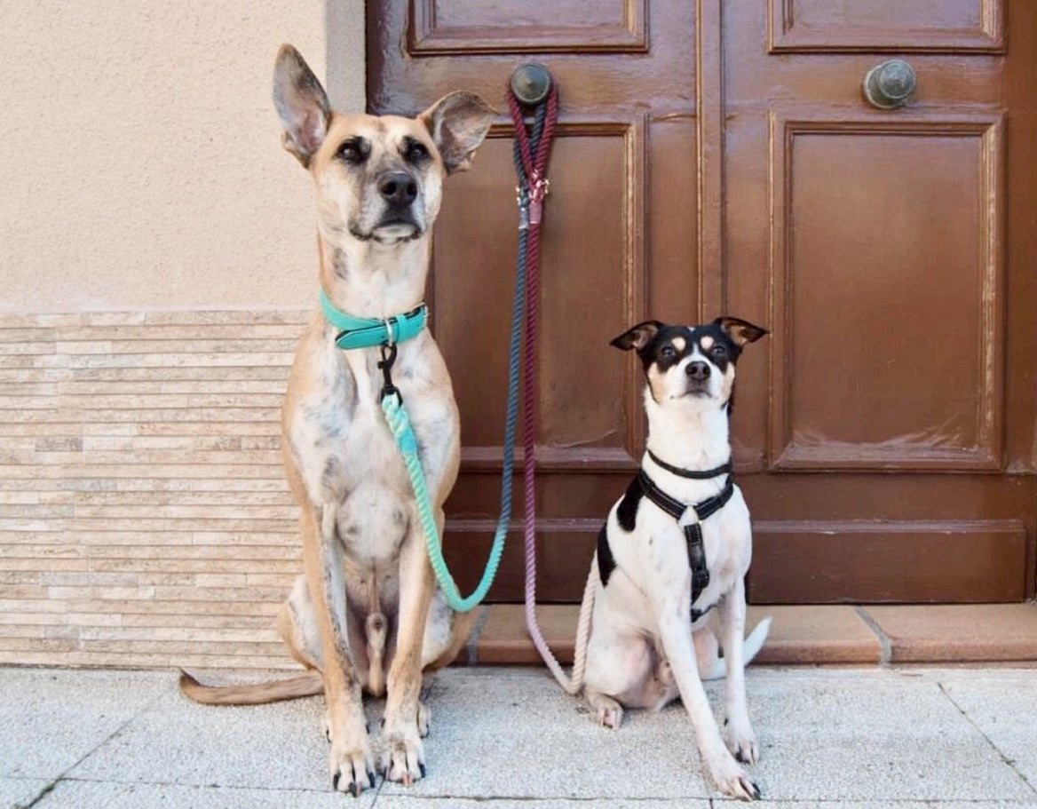 ROPE LEASH - BRIDGETTE-1