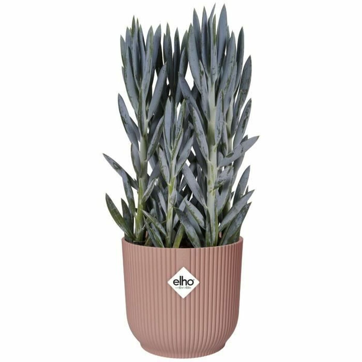 Plant pot Elho Pink Circular Modern Ø 25 cm-3