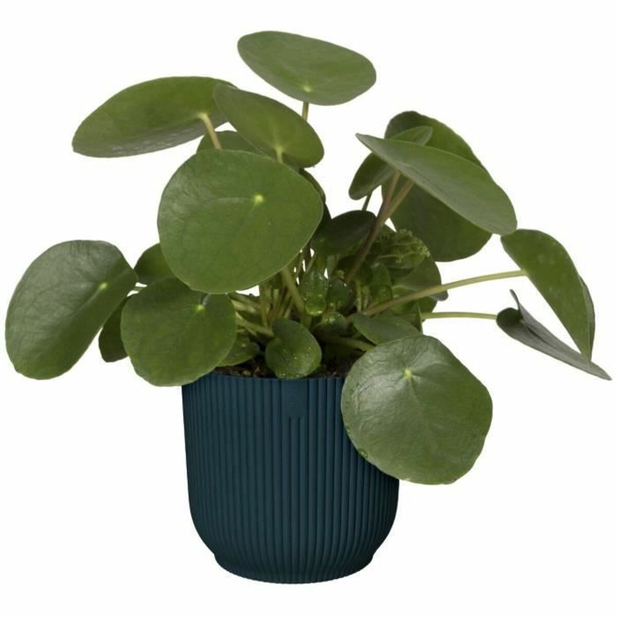Plant pot Elho   Ø 25 cm Circular Dark blue-4