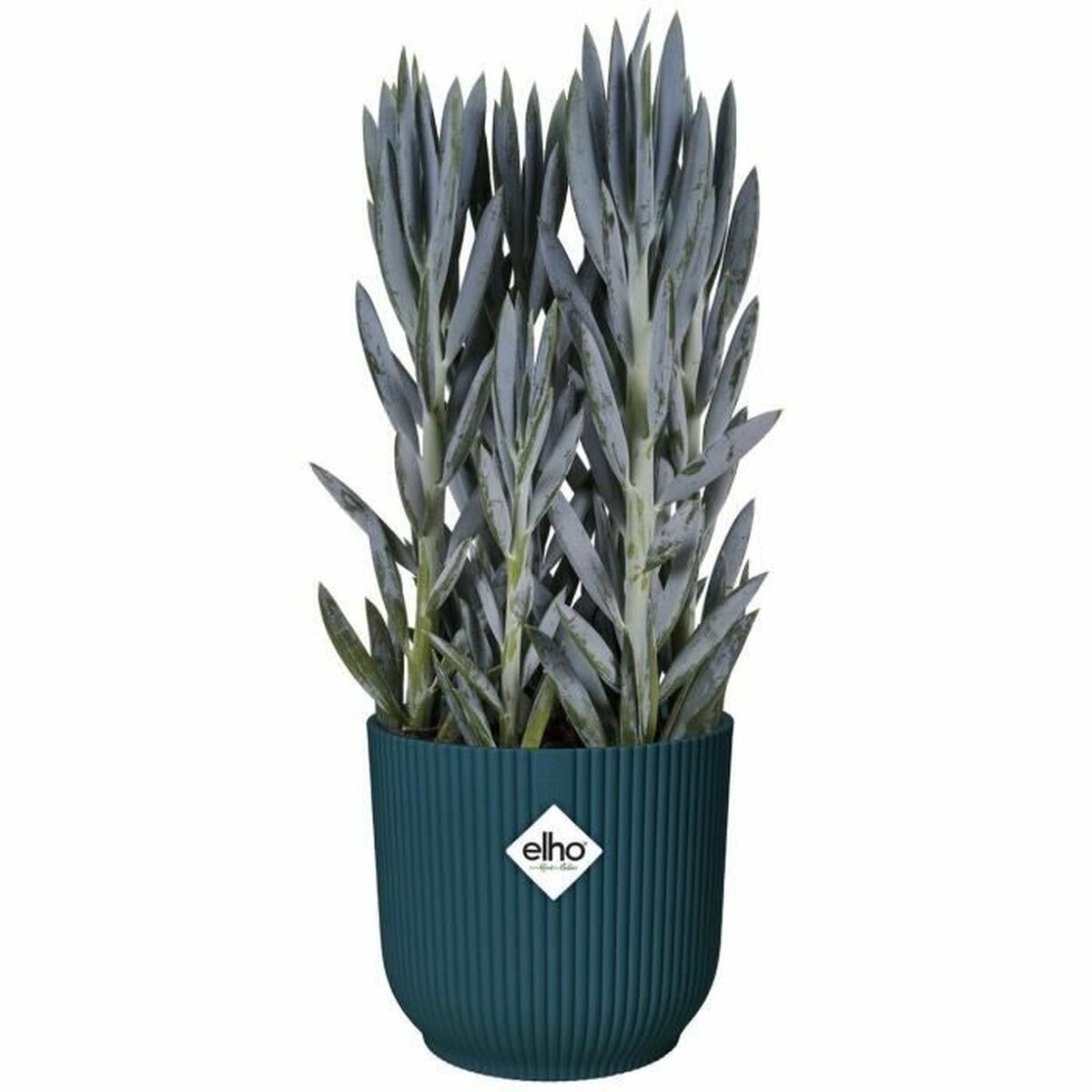 Plant pot Elho   Ø 25 cm Circular Dark blue-3