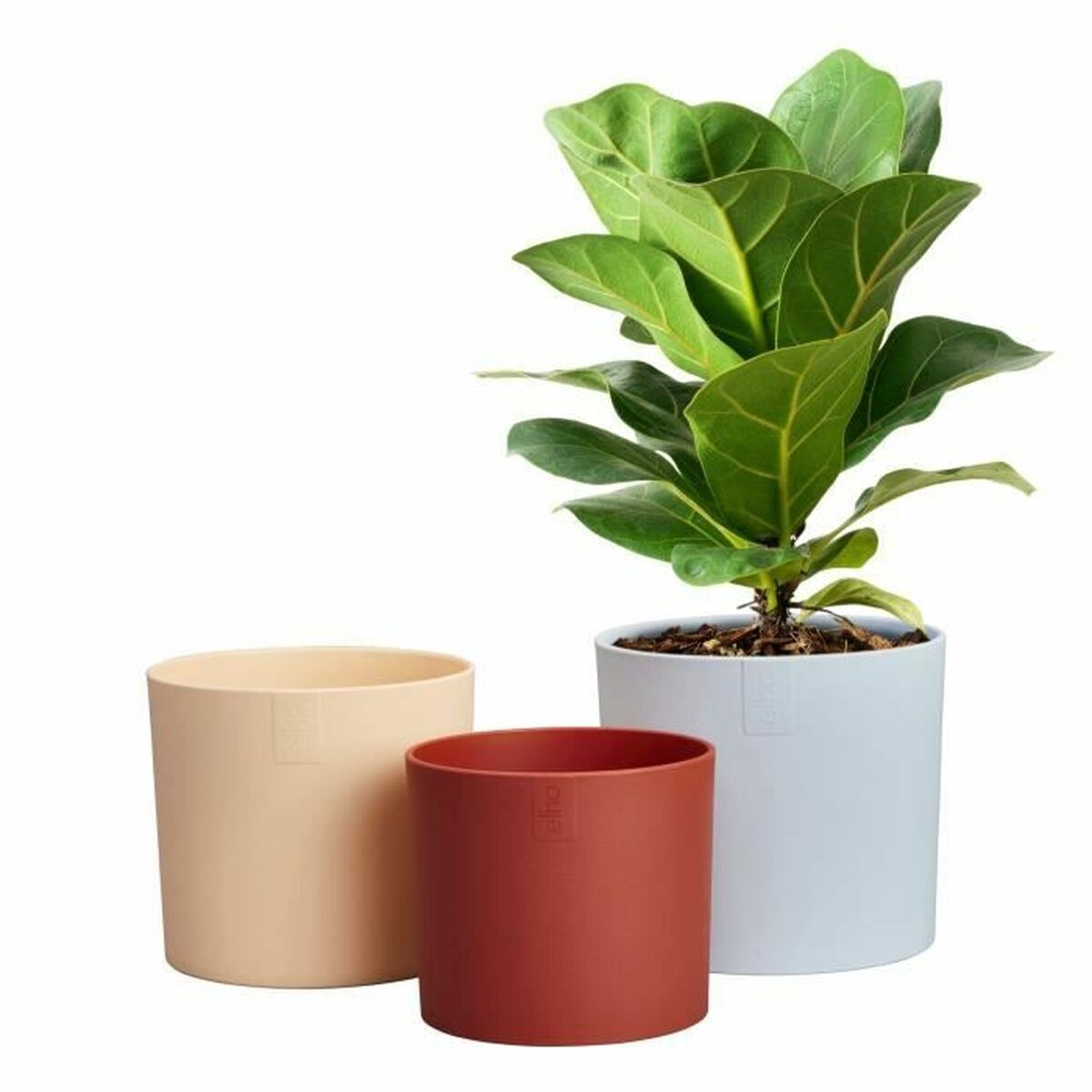 Plant pot Elho-2
