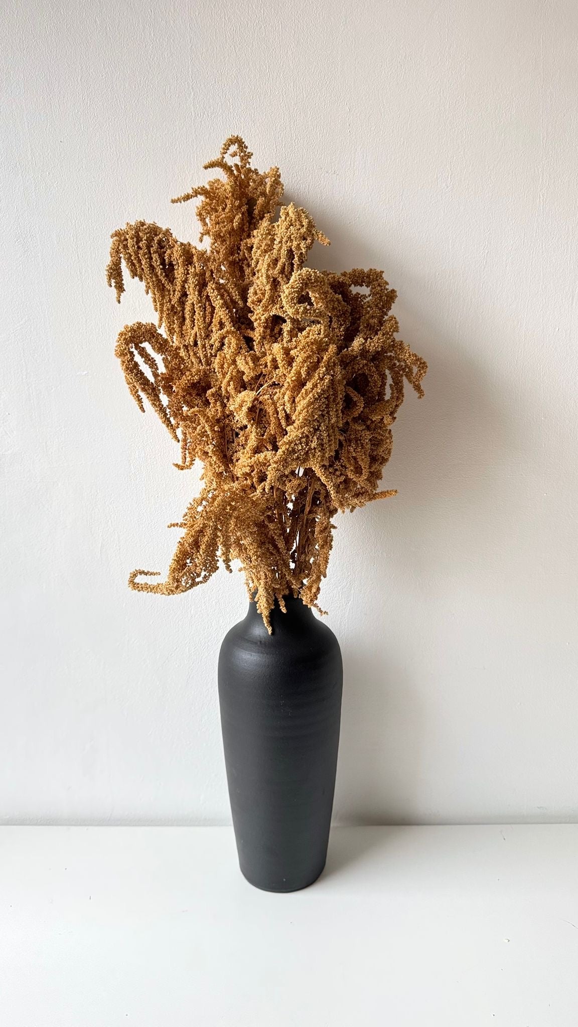 Dried plant-1