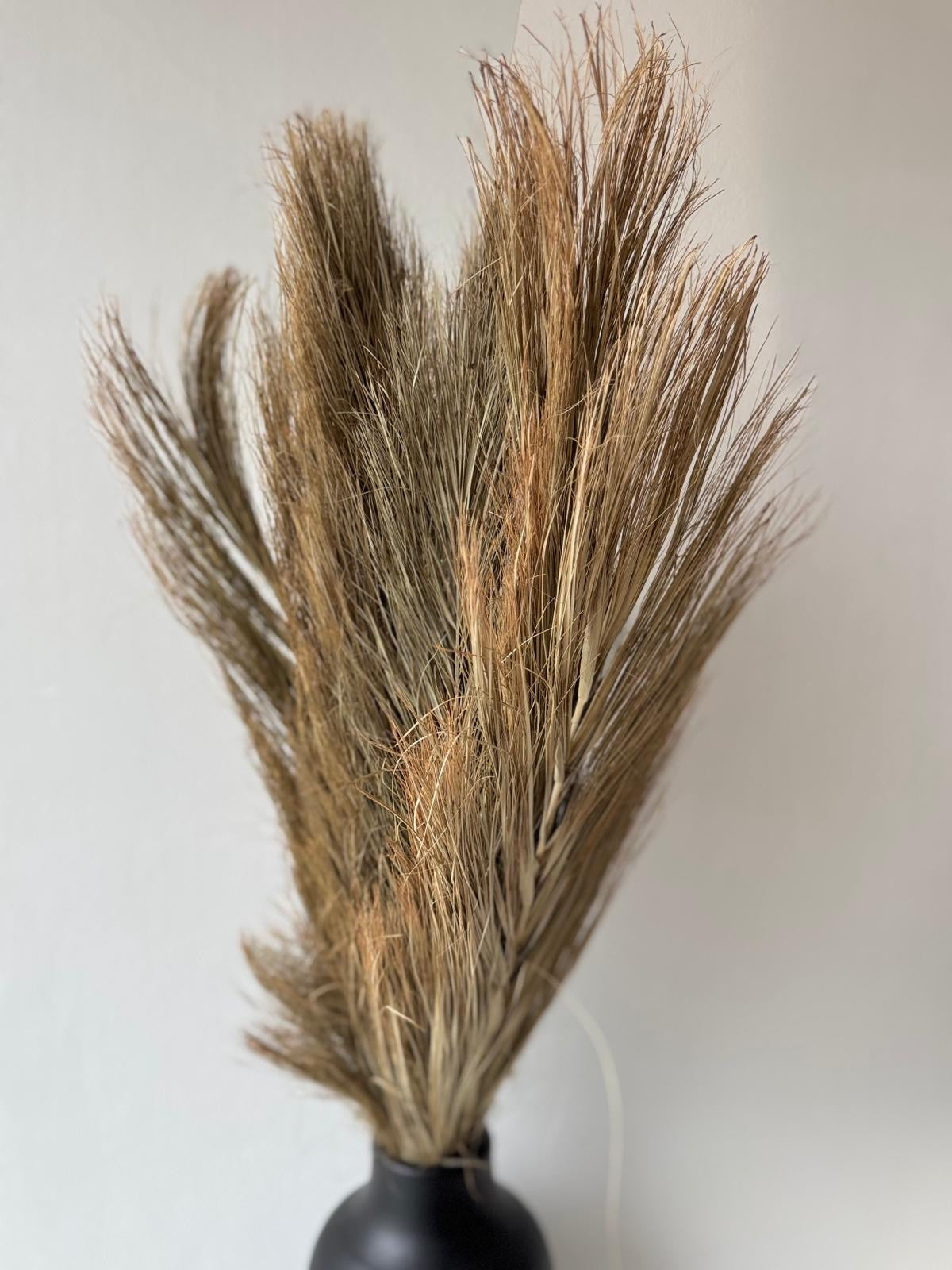 Dried palm leaves-4