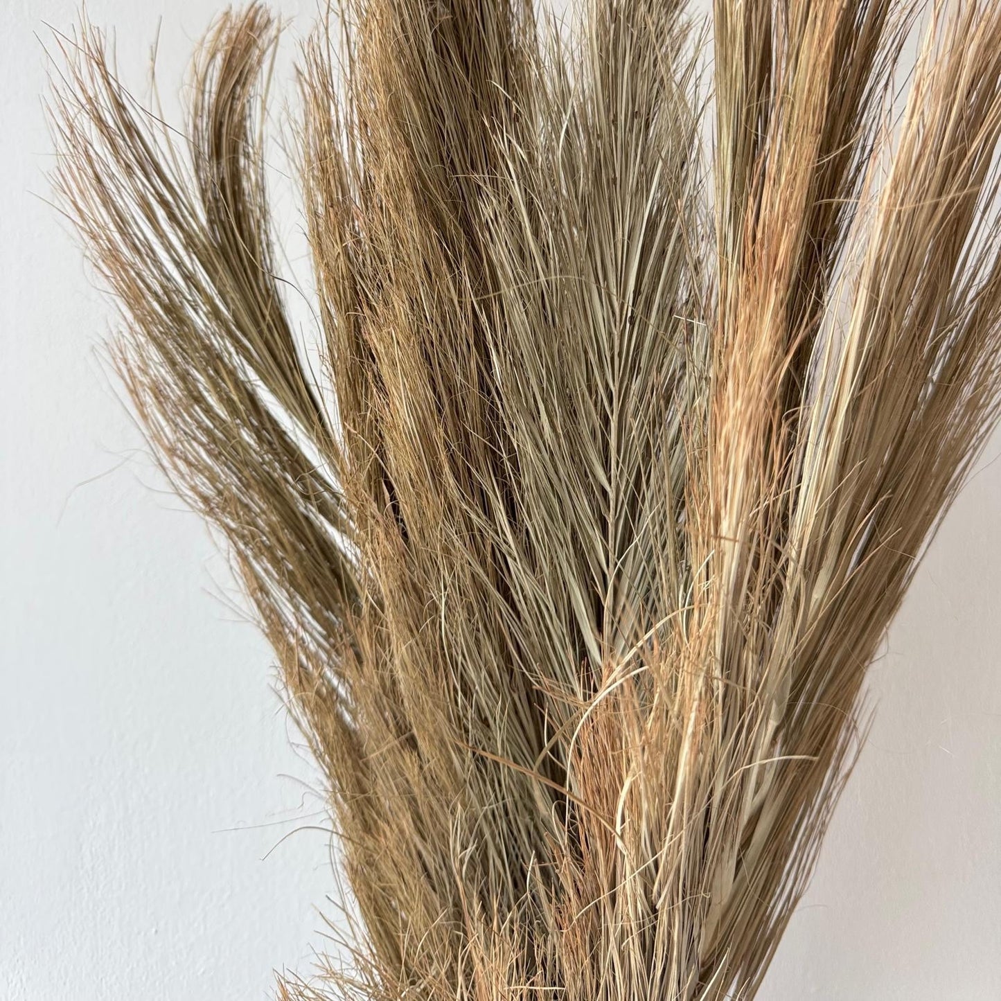 Dried palm leaves-3