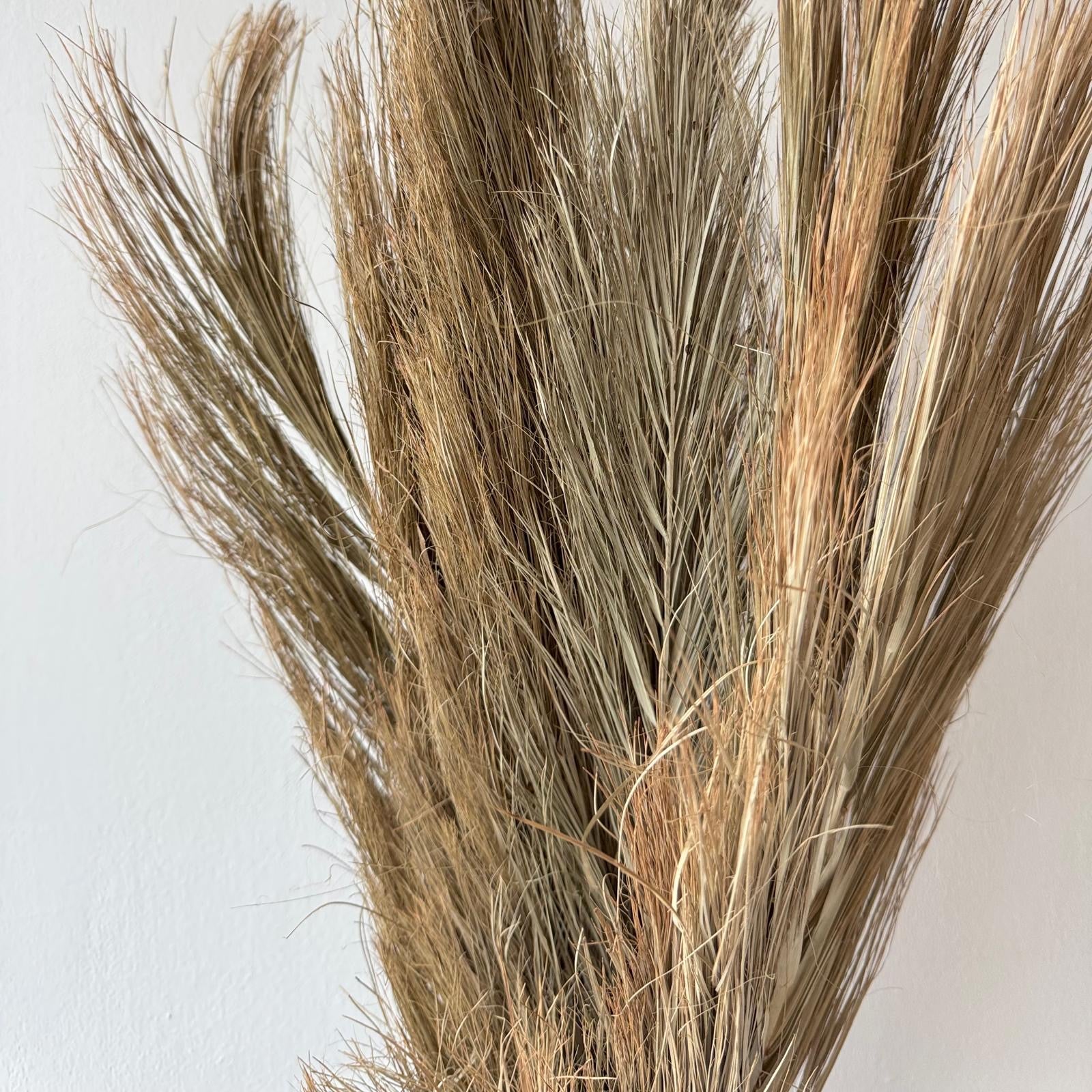 Dried palm leaves-3