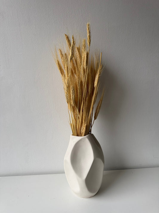 Wheat - white (bearded)-0