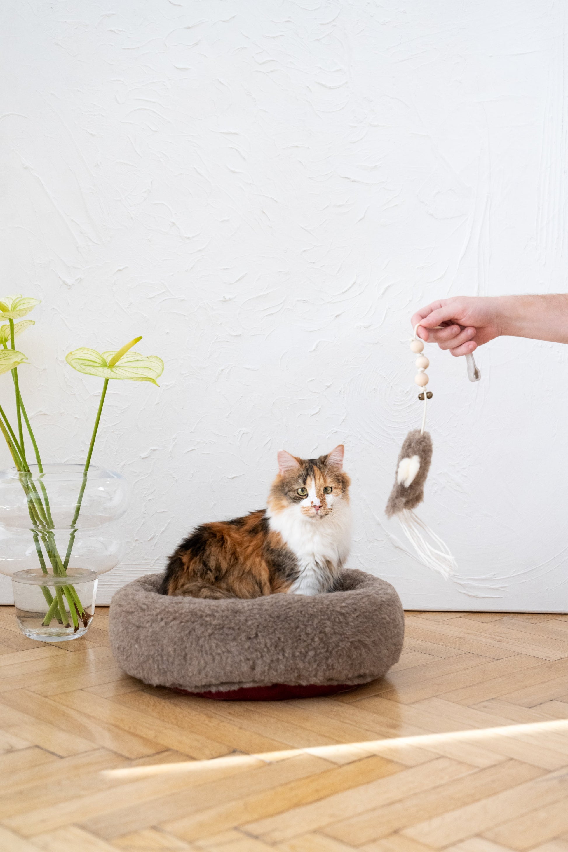 Natural Sheepskin Cat Toy: Squid-4
