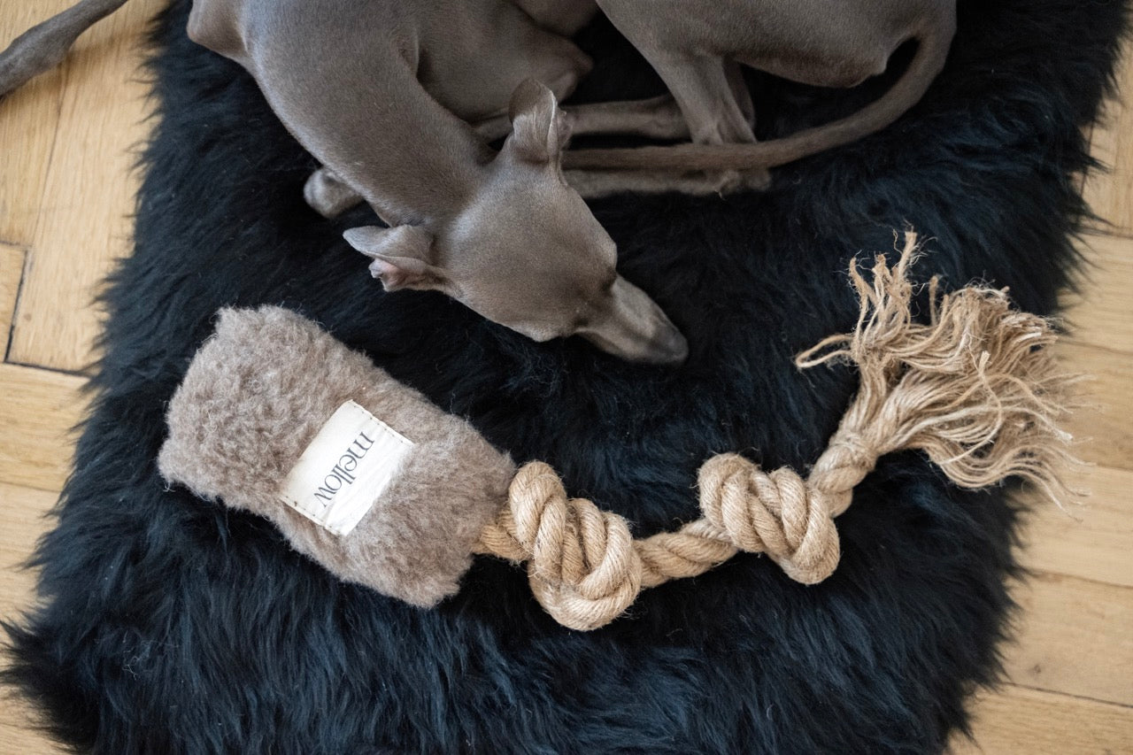 Natural Woolen Dog Tug Toy - Beige-1