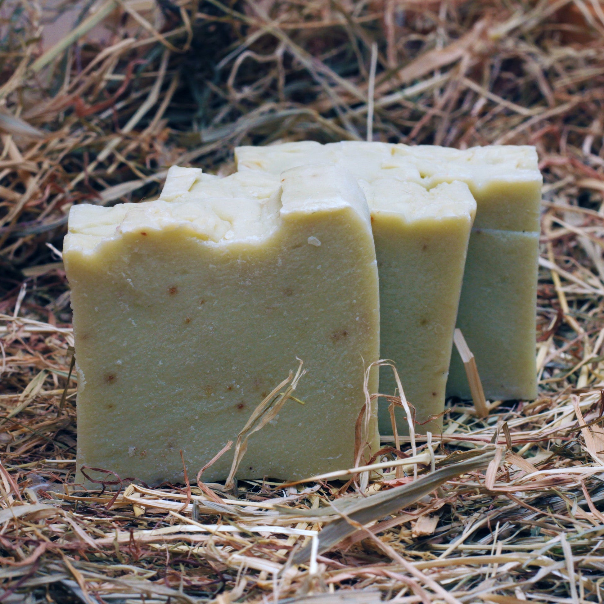 Bath & Body - Stone Washed Mustard-3
