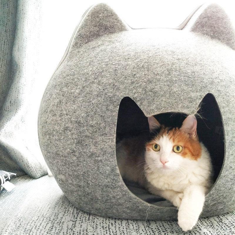  Cat House-2