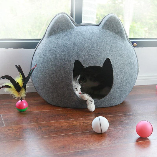  Cat House-0
