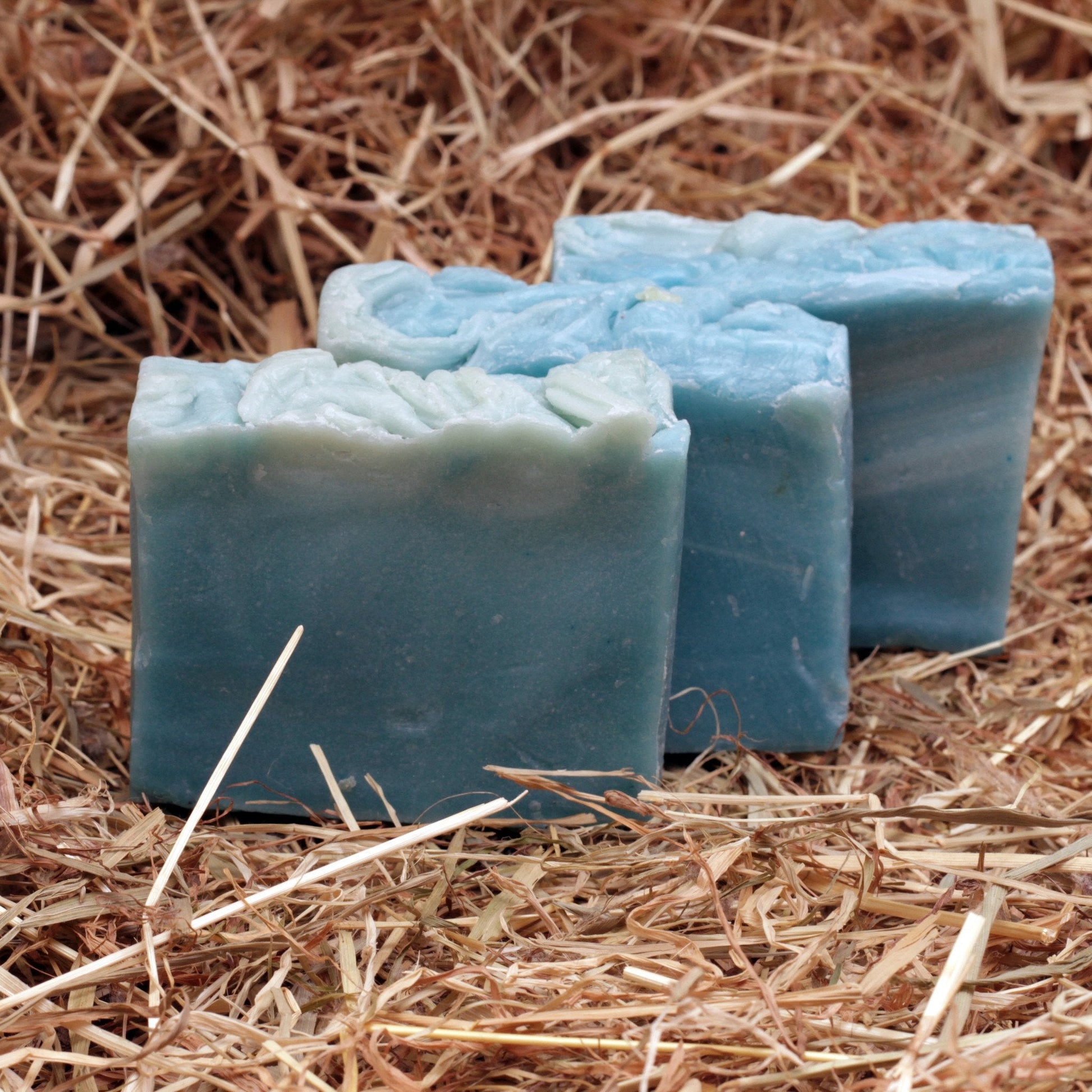Goat Hair Bath Glove & Ocean Soap-4